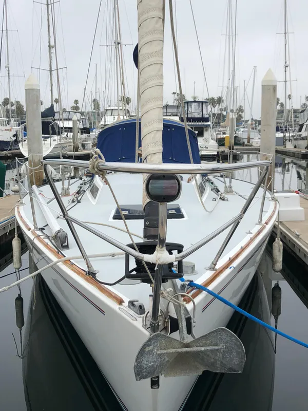 Bow on view