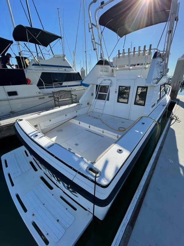1996 Phoenix Fly Bridge