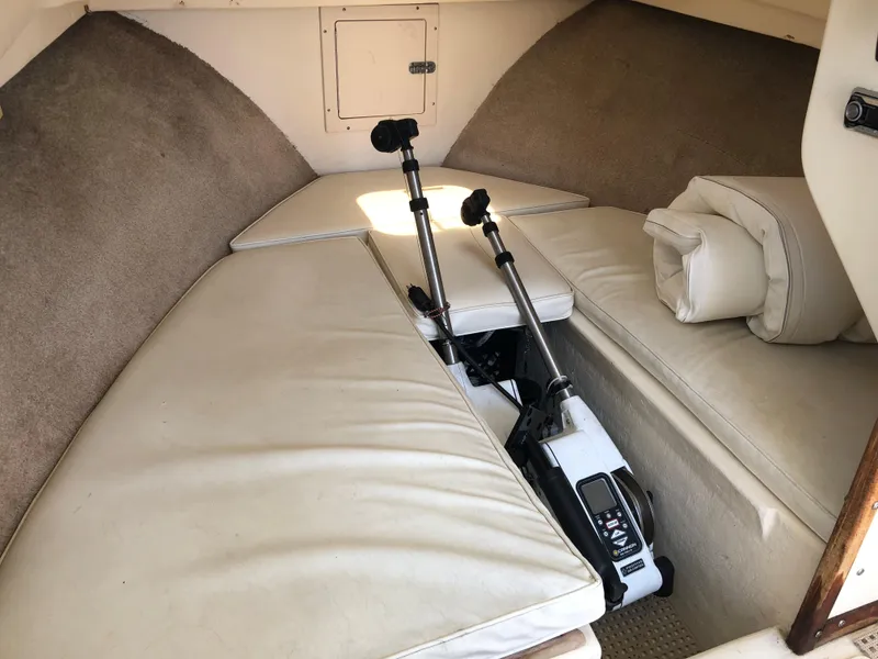 Downrigger electric