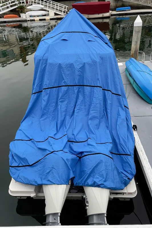 2020 Boston Whaler 250 Outrage