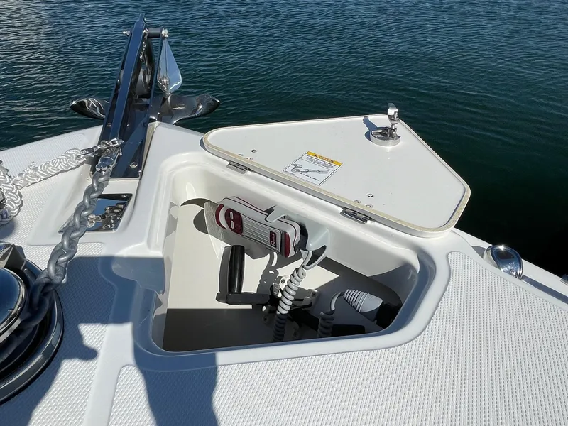 2020 Boston Whaler 250 Outrage