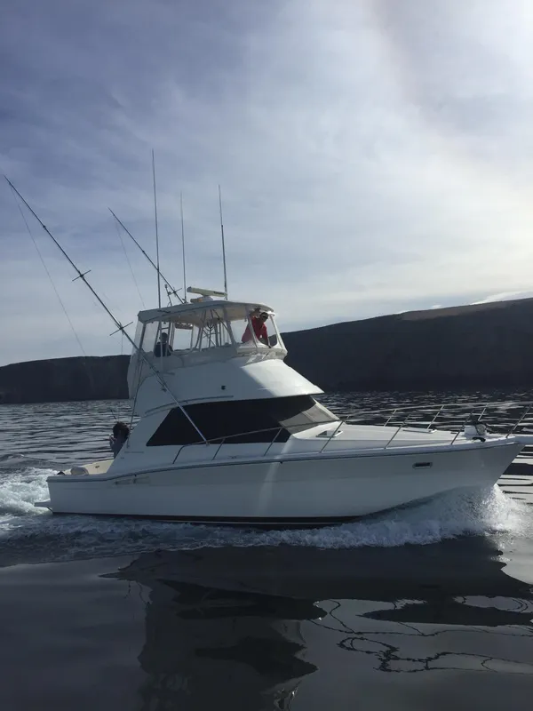 Riviera 34