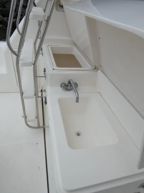 SInk and Fish Well