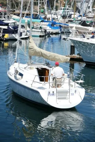 stern