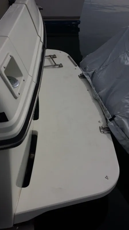 Large Swimstep w/ Walk thru Transom Door & Swim Ladder