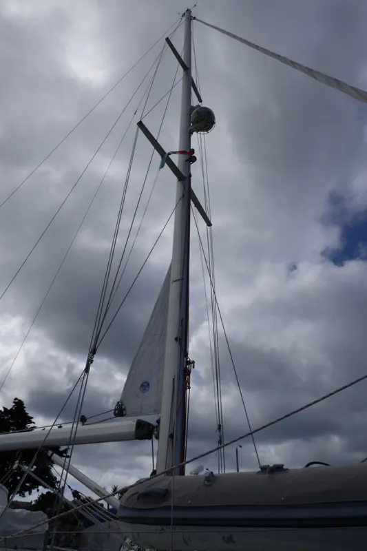 2014 Catalina 445