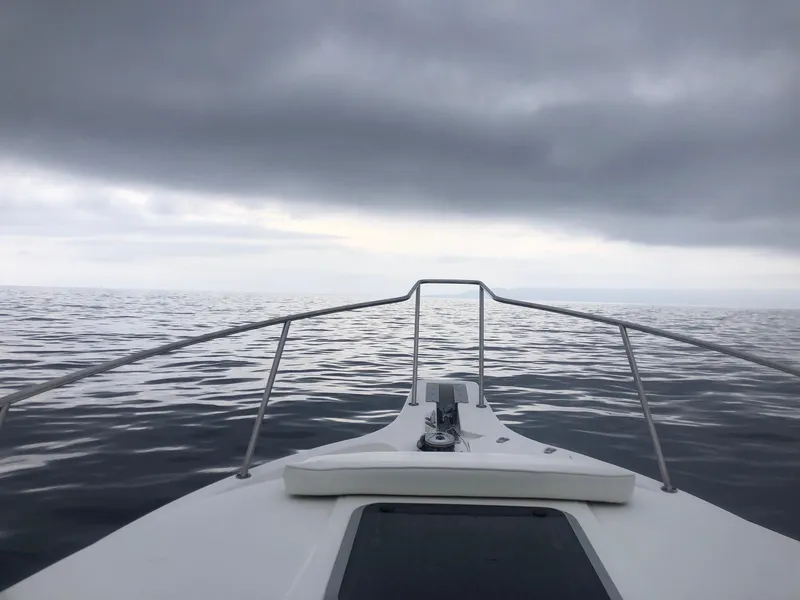 2008 Boston Whaler 285 Conquest