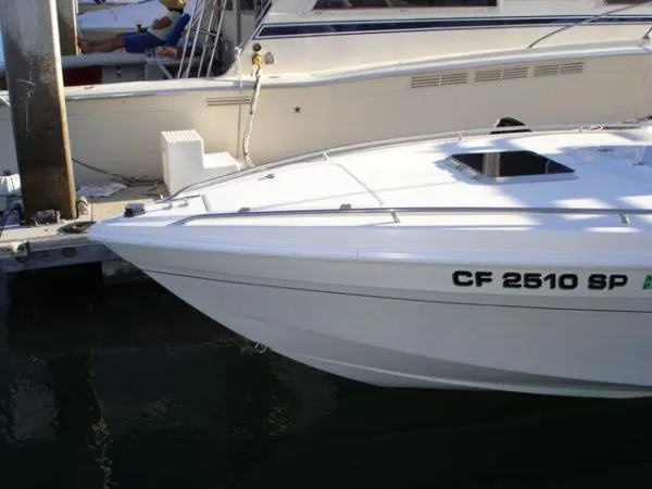 1995 Wellcraft 302 Scarab