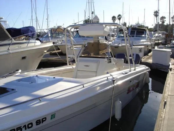 1995 Wellcraft 302 Scarab
