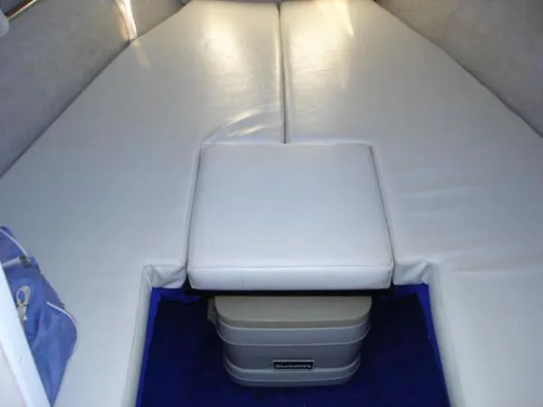 1995 Wellcraft 302 Scarab