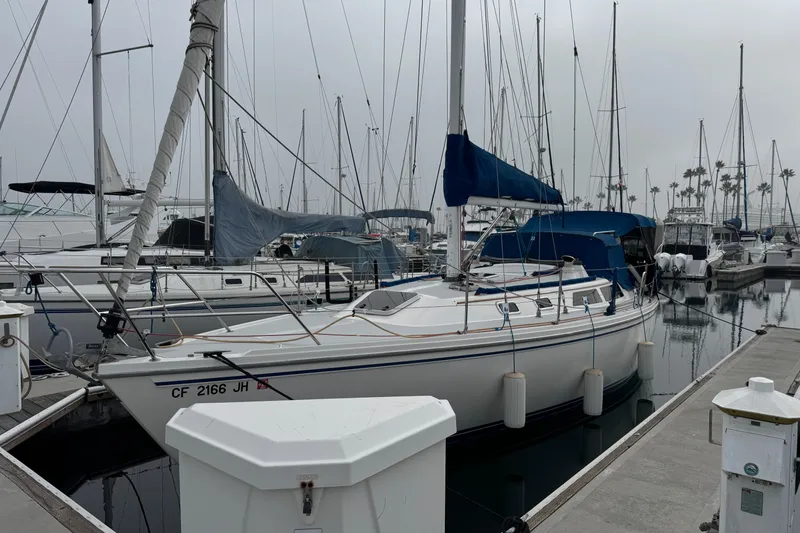 1991 Catalina 36MKI sailboat docked in a marina, surrounded by other boats.
