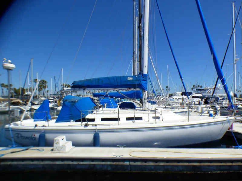 1984 Catalina 36