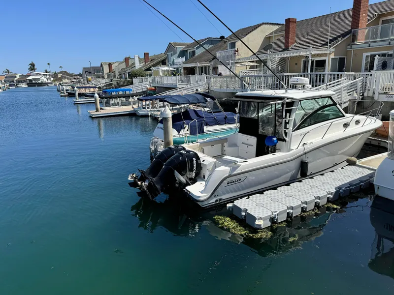 2015 Boston Whaler 315 Conquest