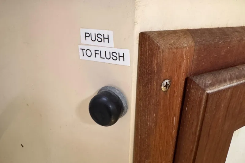 Push to flush button on 1990 Catalina 30 MkII boat interior.