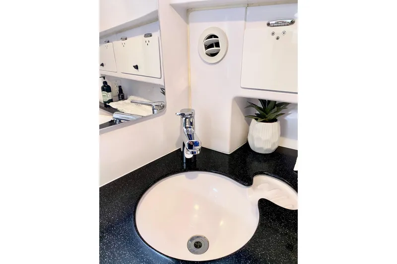 Modern bathroom sink with sleek faucet and decorative plant on a 2006 Donzi 38 ZSF boat.