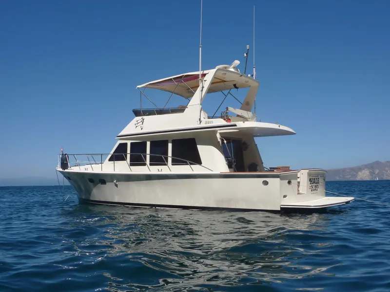 @ anchor Channel Islands