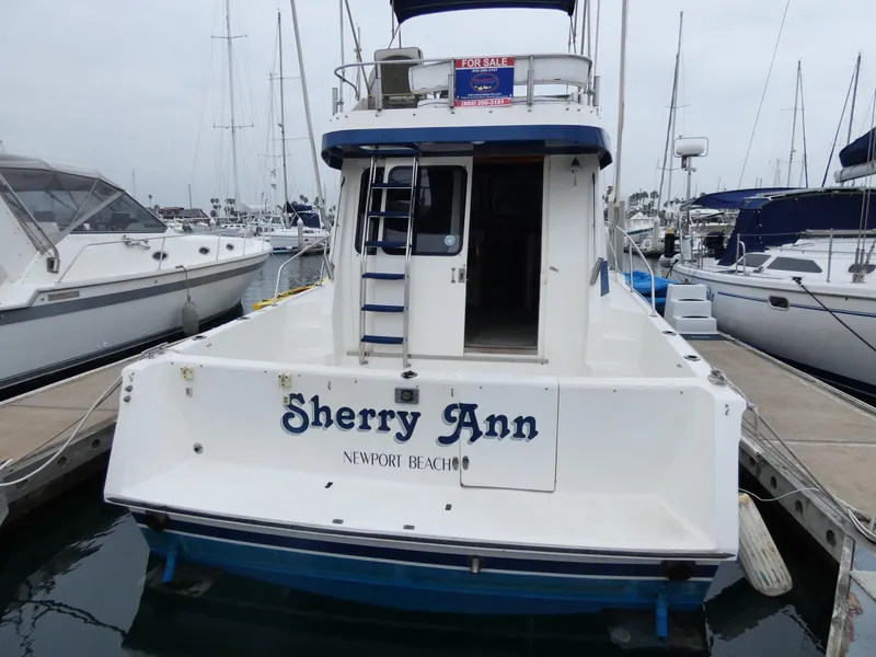 From Stern