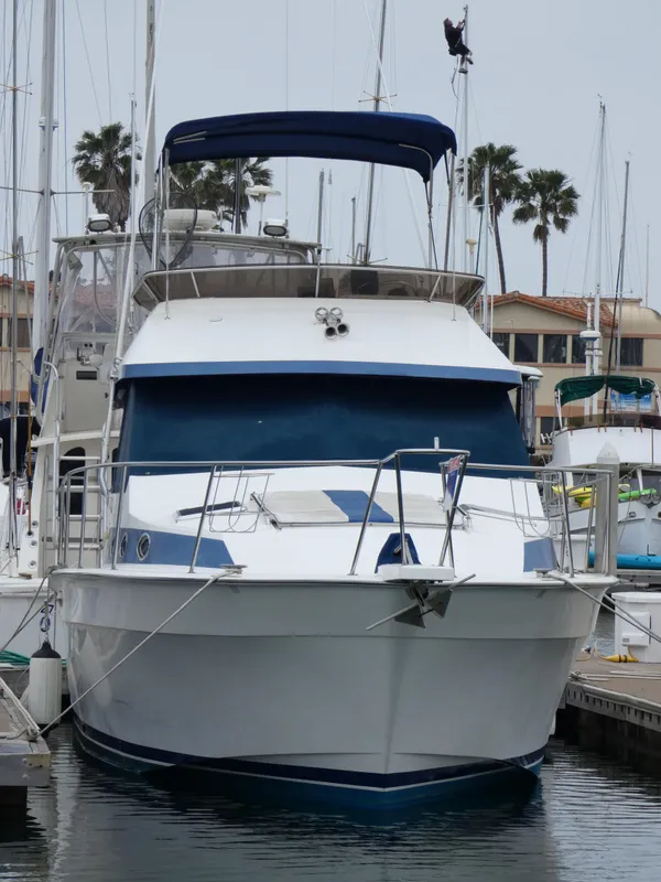 Bow View
