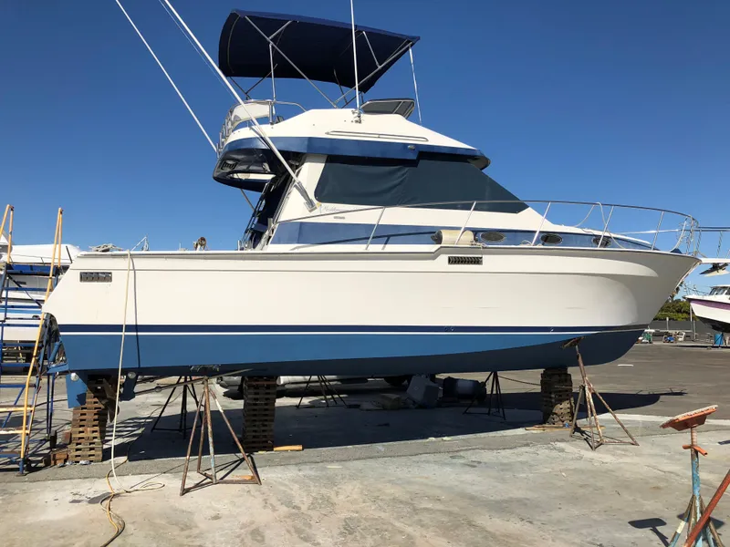 New Bottom 10/2018