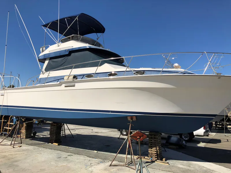 New Bottom 10/2018