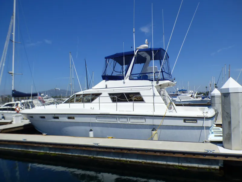1986 Sea Hawk 48