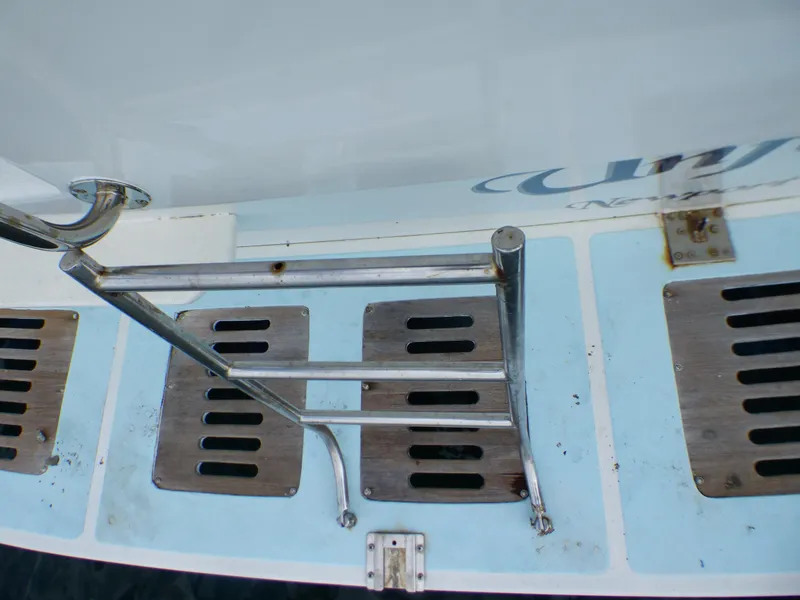 Hinged Stainless Steel Swim Ladder