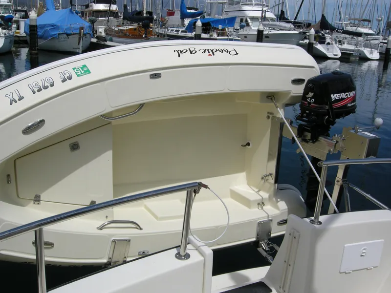 Tender on davits