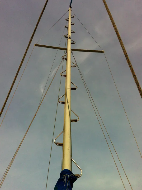 Mast Steps