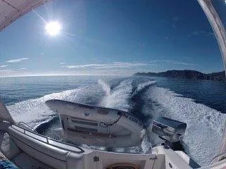 1998 Bayliner Avanti