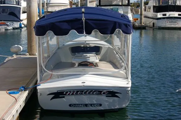 1999 Duffy Electric Boat