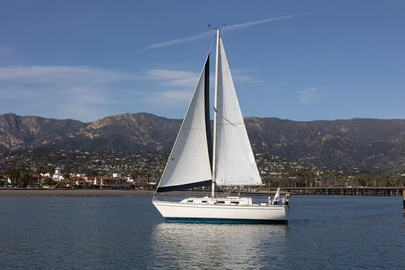 Port Tack Upwind