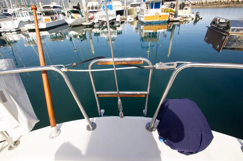 Swim Ladder