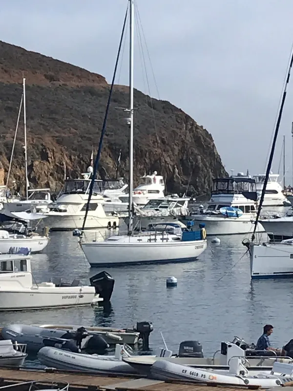 1983 Catalina Sloop