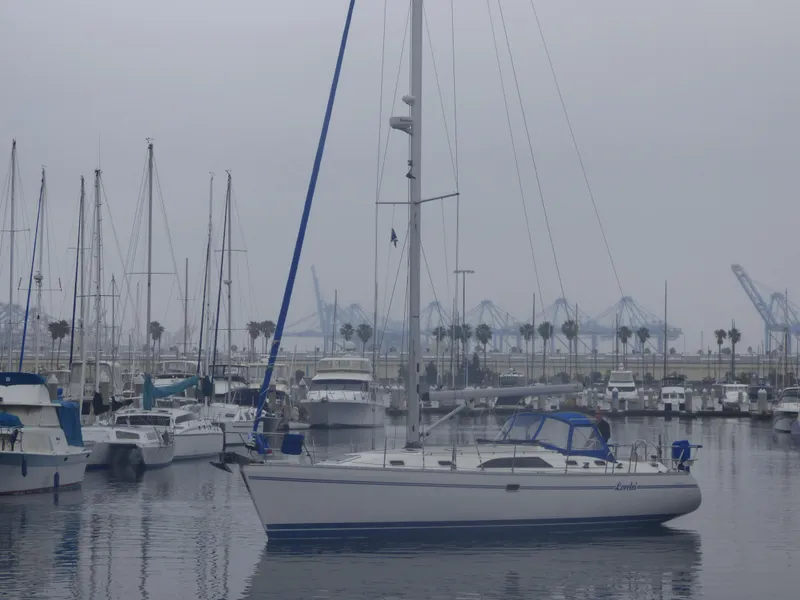2010 Catalina 445