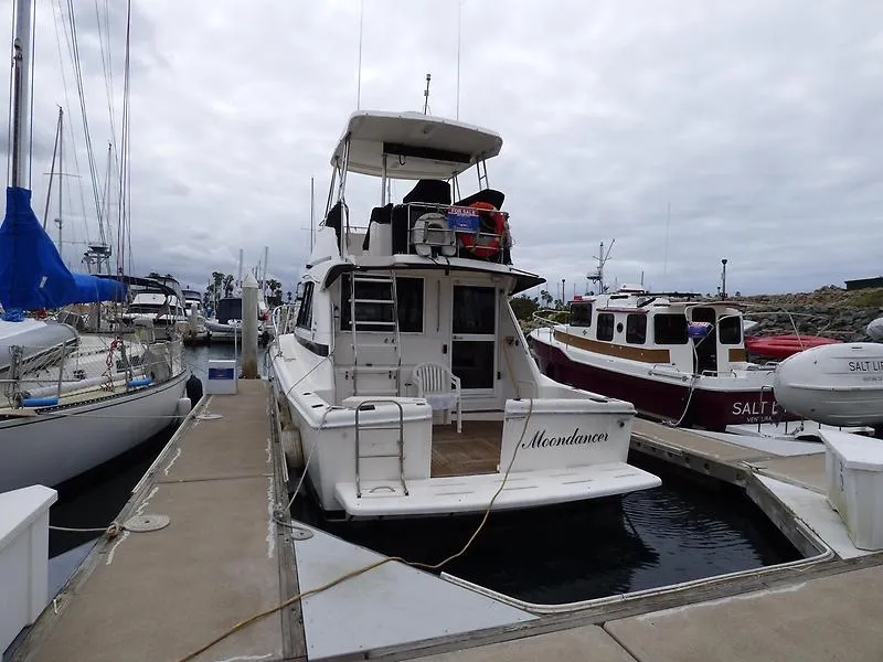 1997 Riviera 34 Platinum