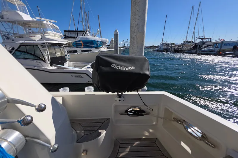 2000 McKinna 48 Pilothouse yacht docked at marina with Dickinson grill cover.