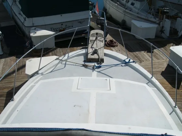 Bow looking Down