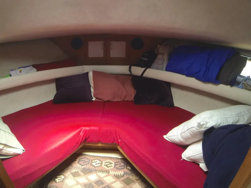 Guest Berth