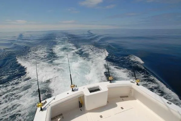 2001 Black Watch 40