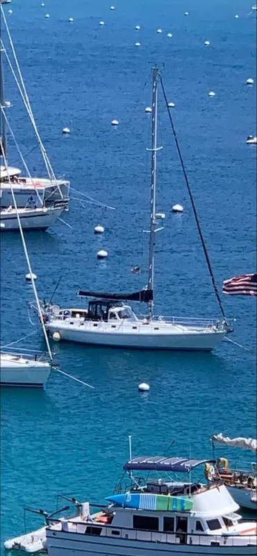 1984 Hylas 44