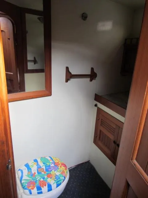 Electric Toilet