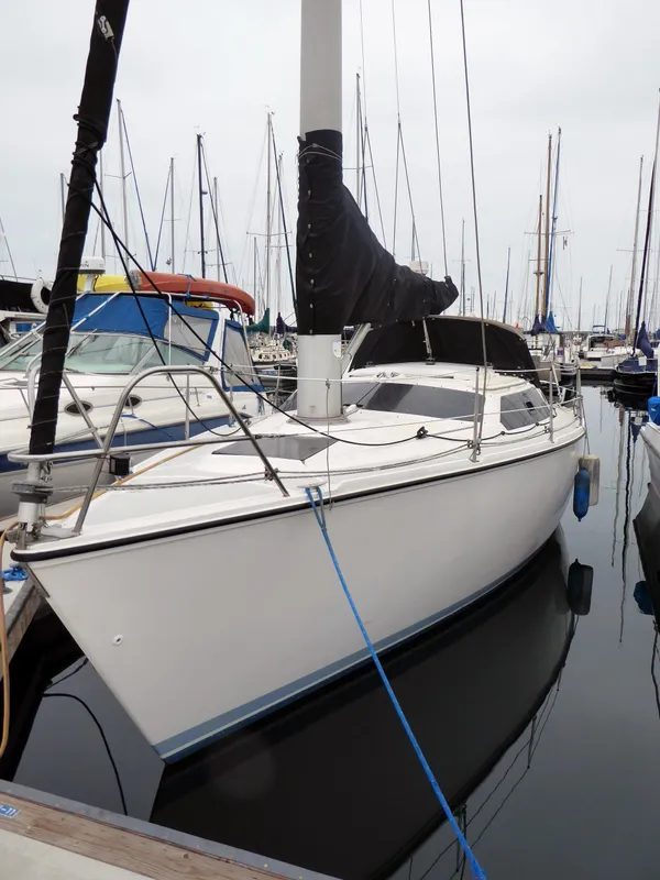 At the Dock