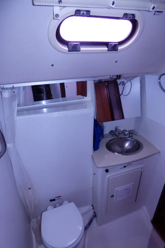 Owner head-shower