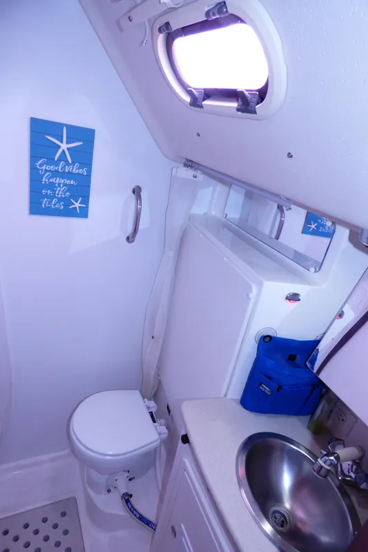 Owner head-shower 2