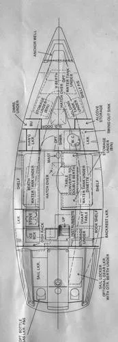 layout / line drawing