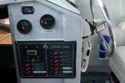 Newer Electric panel