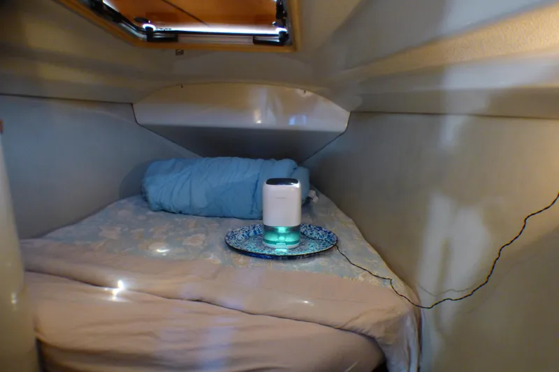 Cozy cabin interior of 1993 Hunter 40.5 sailboat with bedding and small appliance.