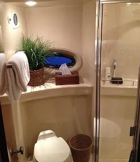 Head w/Vacuflush head