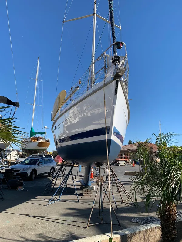 Haulout November-December 2022