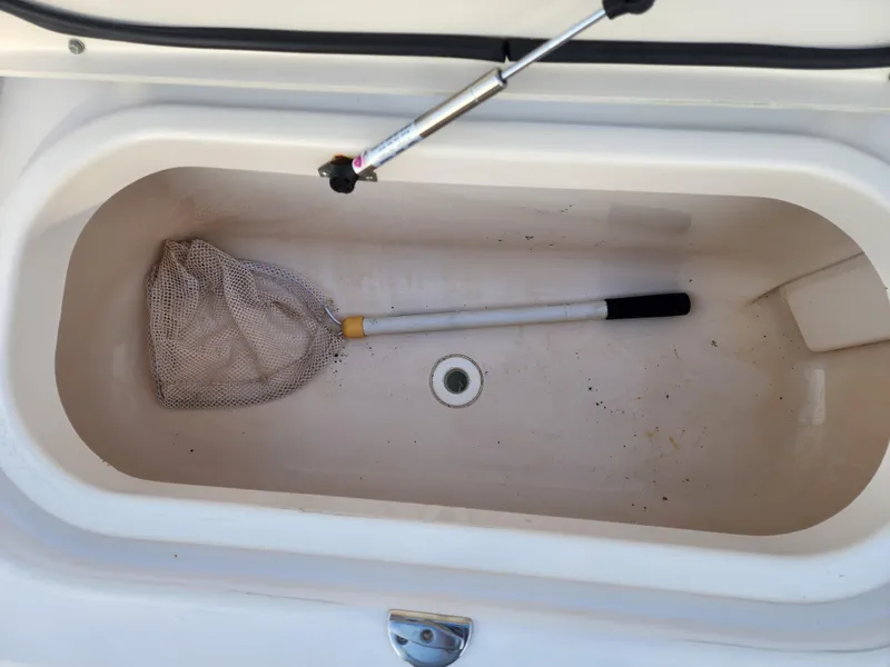 Livewell with net inside a 2005 Grady-White Bimini 306 boat.